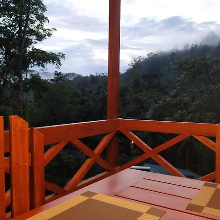 Sinharaja Forest Gate دينيايا المظهر الخارجي الصورة