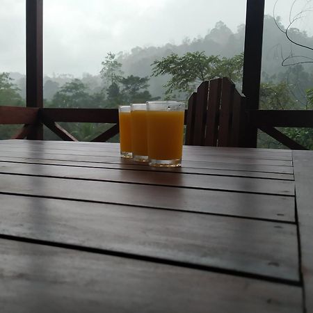 Sinharaja Forest Gate دينيايا المظهر الخارجي الصورة