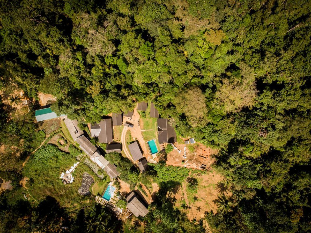 Sinharaja Forest Gate دينيايا المظهر الخارجي الصورة