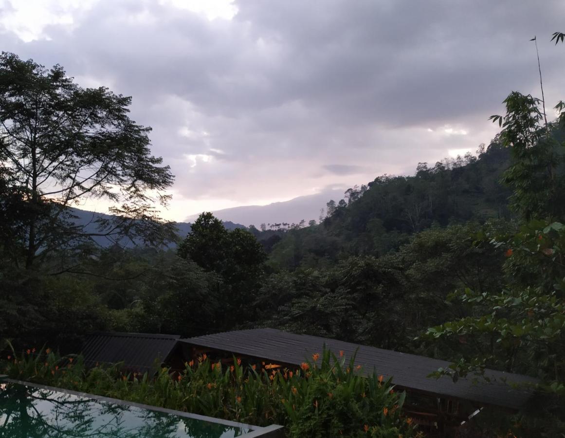 Sinharaja Forest Gate دينيايا المظهر الخارجي الصورة