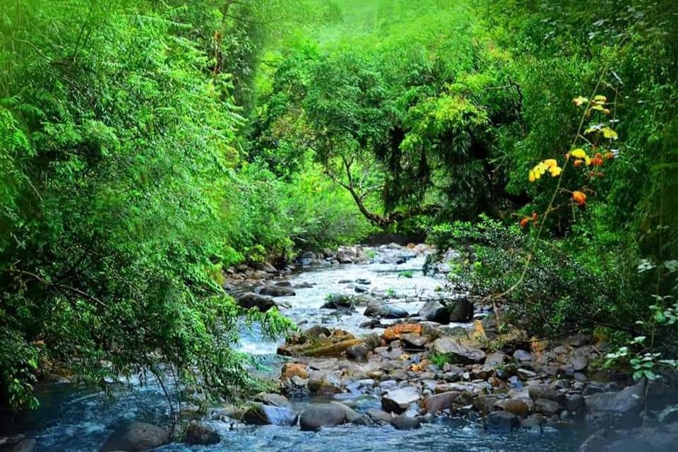 Sinharaja Forest Gate دينيايا المظهر الخارجي الصورة