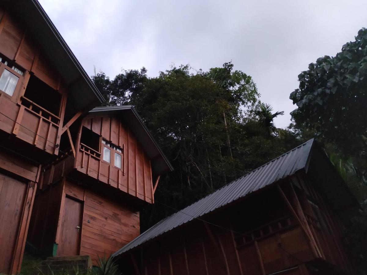 Sinharaja Forest Gate دينيايا المظهر الخارجي الصورة