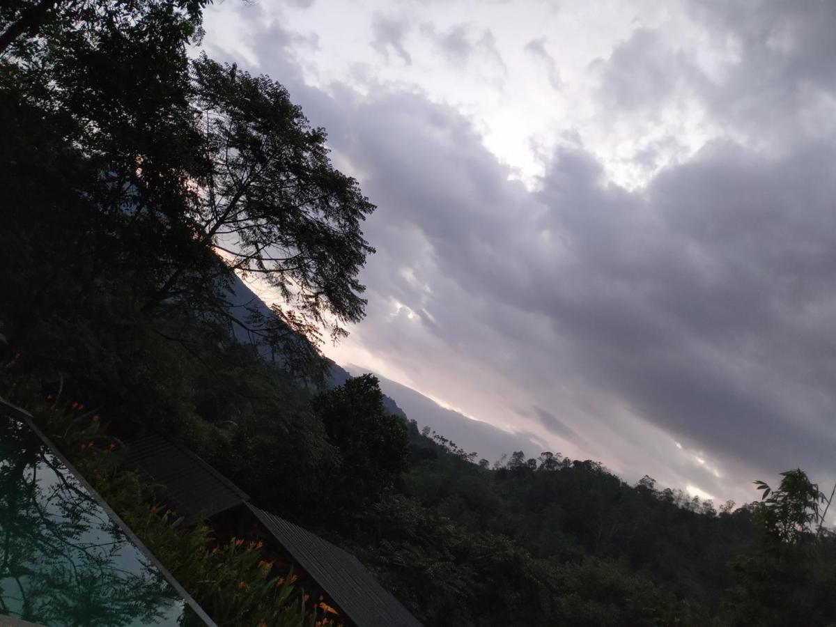 Sinharaja Forest Gate دينيايا المظهر الخارجي الصورة