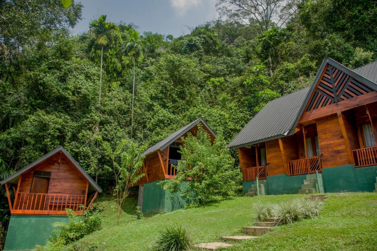 Sinharaja Forest Gate دينيايا المظهر الخارجي الصورة