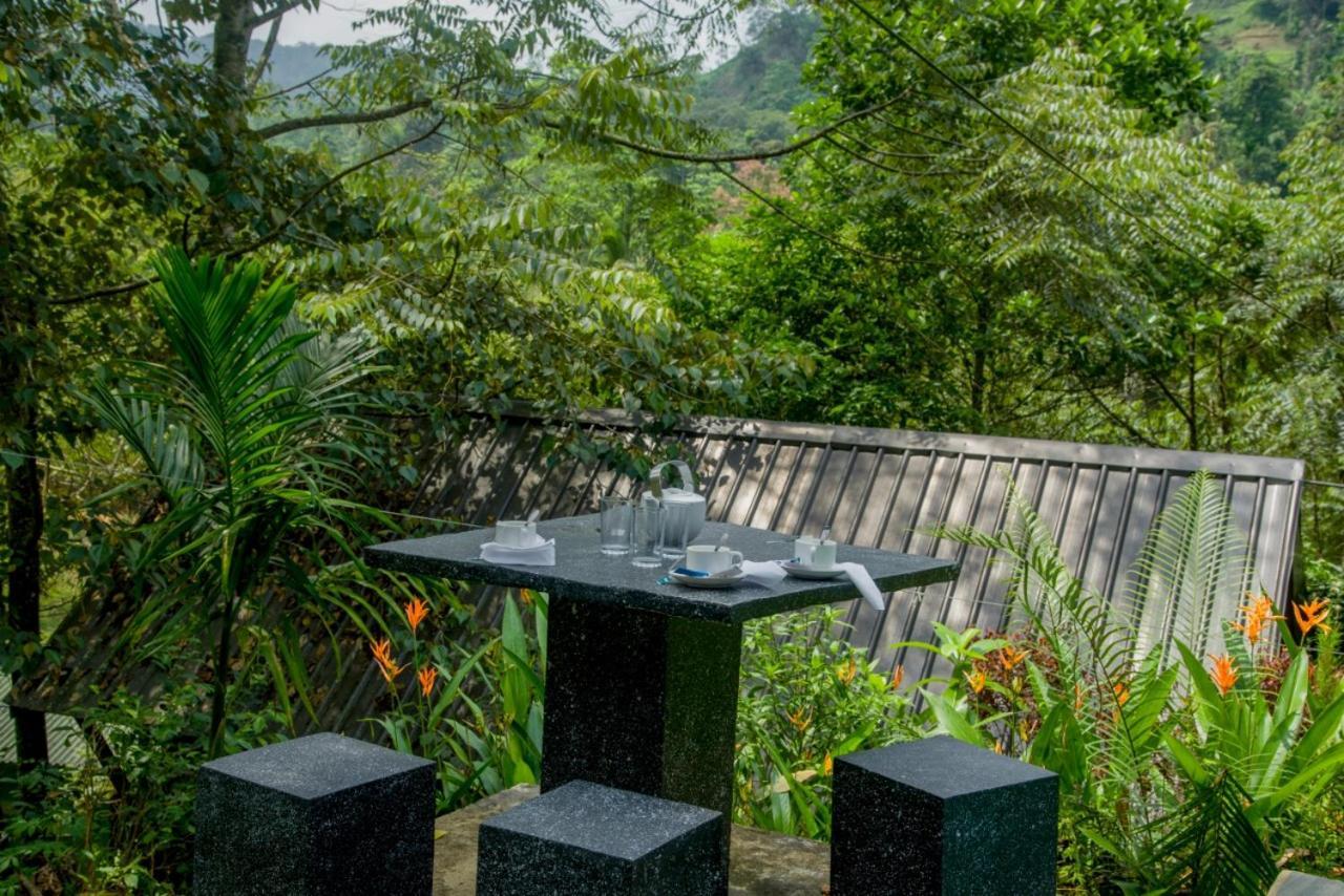 Sinharaja Forest Gate دينيايا المظهر الخارجي الصورة