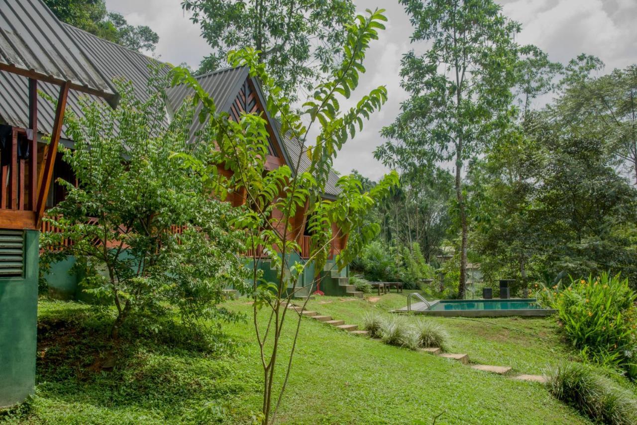 Sinharaja Forest Gate دينيايا المظهر الخارجي الصورة