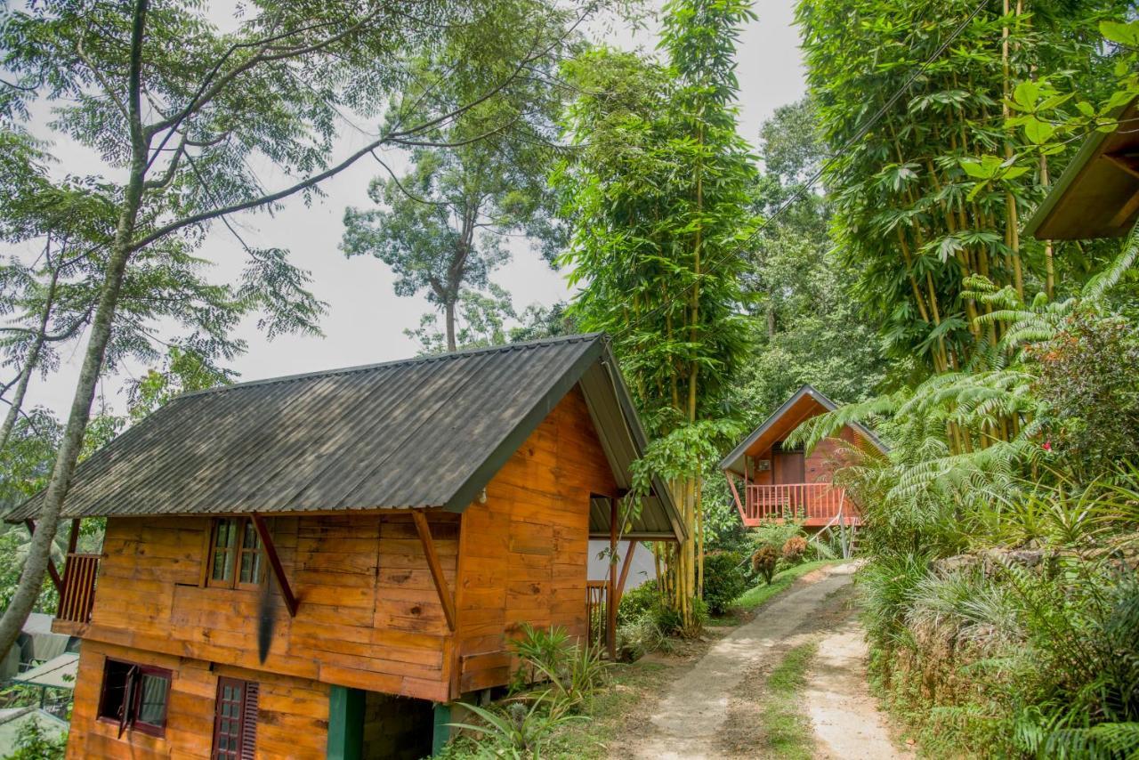 Sinharaja Forest Gate دينيايا المظهر الخارجي الصورة