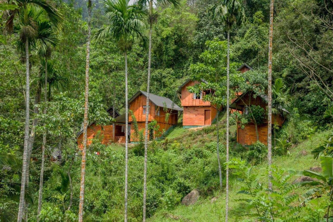 Sinharaja Forest Gate دينيايا المظهر الخارجي الصورة