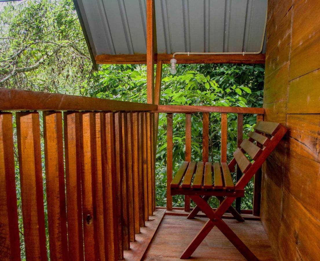 Sinharaja Forest Gate دينيايا المظهر الخارجي الصورة