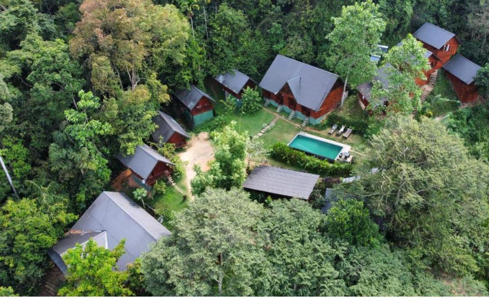 Sinharaja Forest Gate دينيايا المظهر الخارجي الصورة