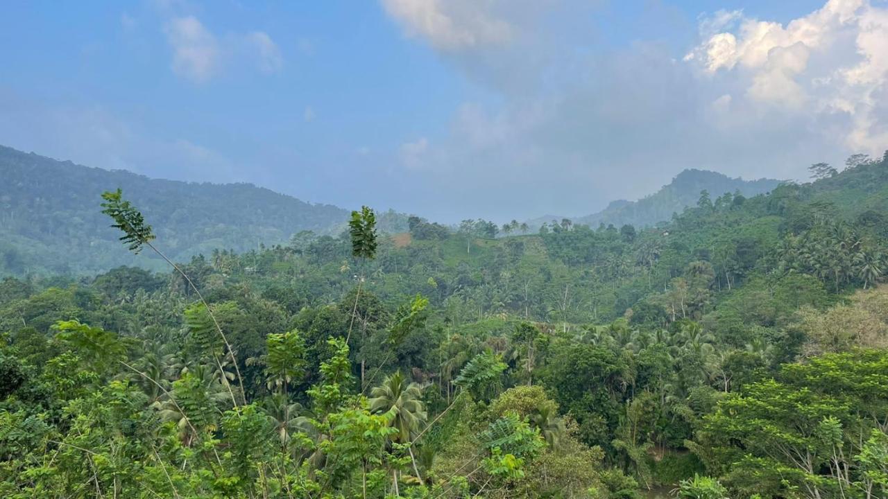 Sinharaja Forest Gate دينيايا المظهر الخارجي الصورة