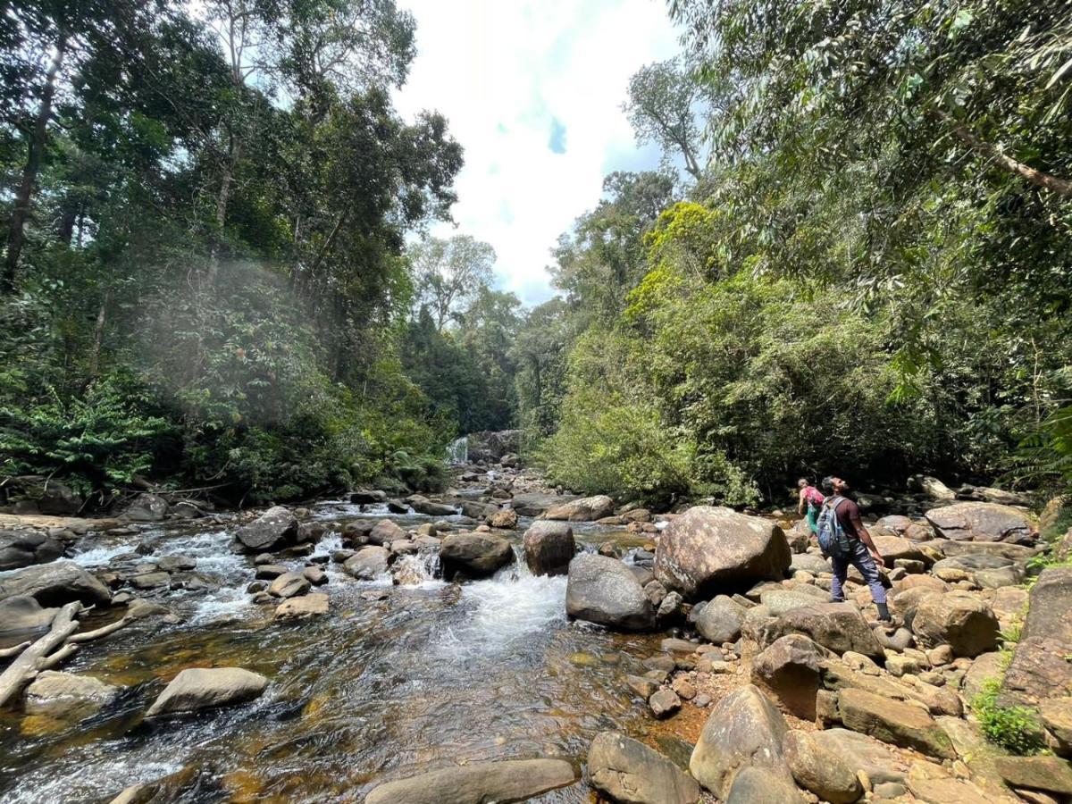 Sinharaja Forest Gate دينيايا المظهر الخارجي الصورة