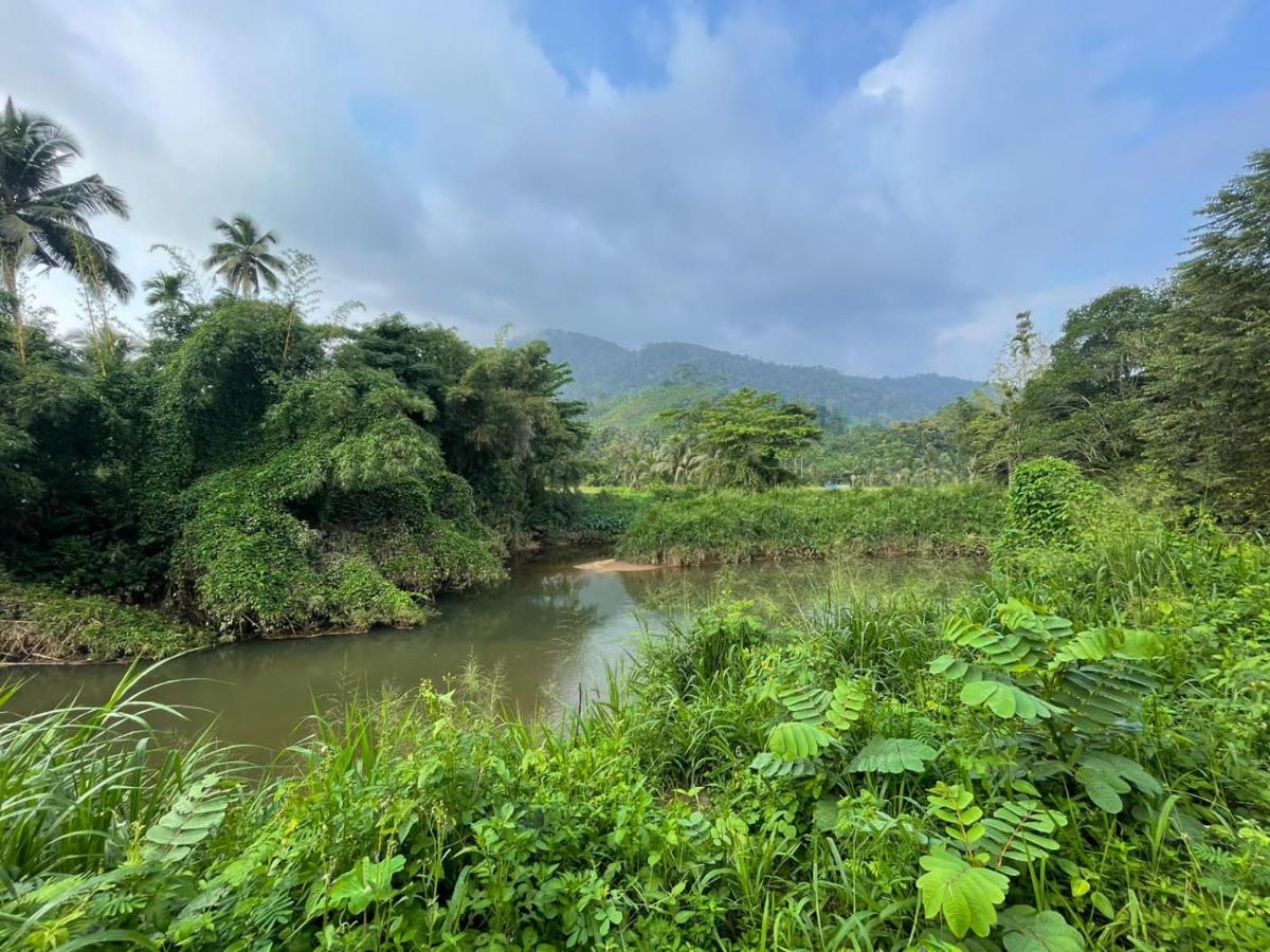 Sinharaja Forest Gate دينيايا المظهر الخارجي الصورة