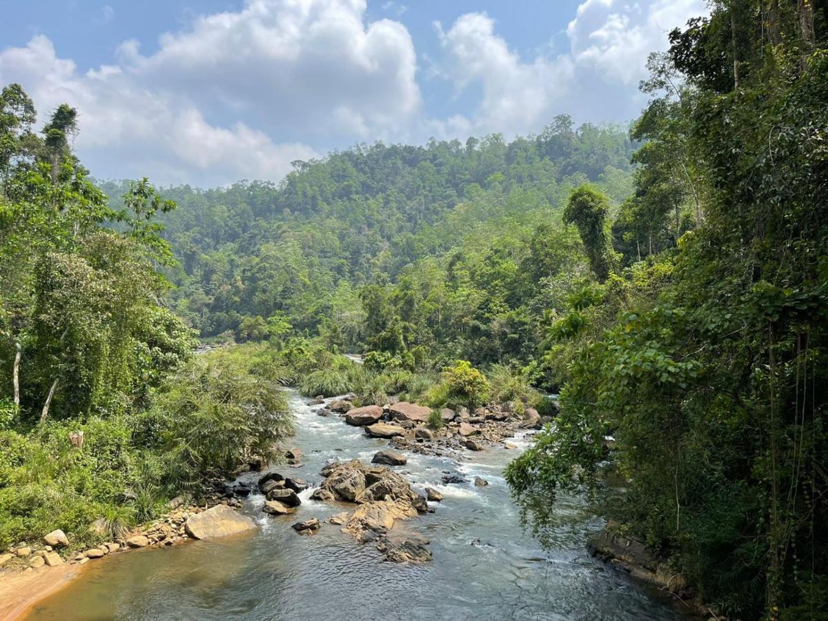 Sinharaja Forest Gate دينيايا المظهر الخارجي الصورة