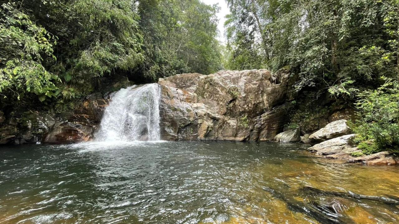Sinharaja Forest Gate دينيايا المظهر الخارجي الصورة