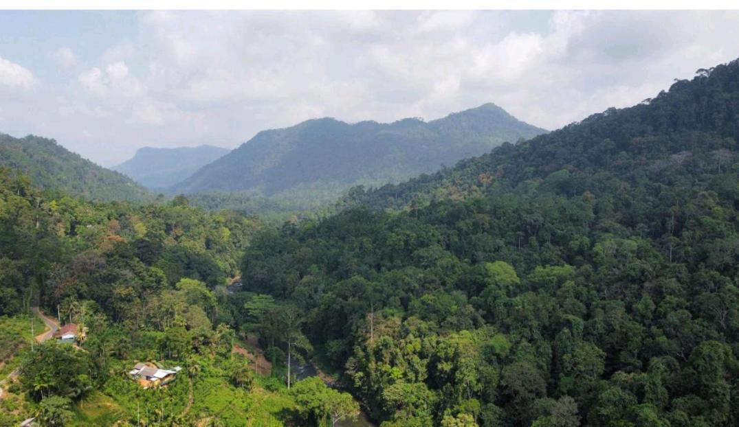 Sinharaja Forest Gate دينيايا المظهر الخارجي الصورة
