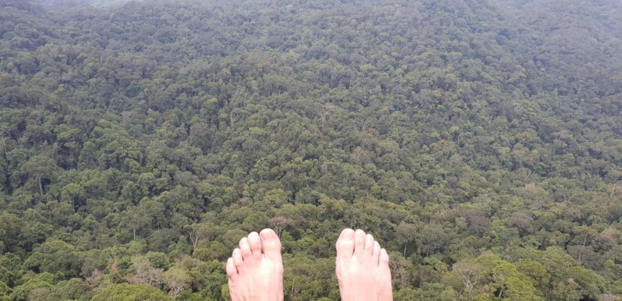 Sinharaja Forest Gate دينيايا المظهر الخارجي الصورة
