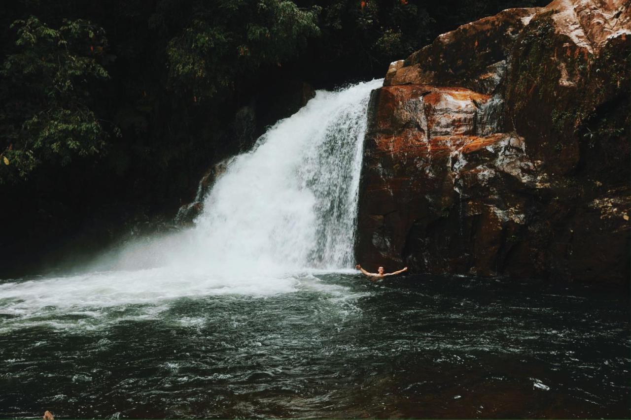 Sinharaja Forest Gate دينيايا المظهر الخارجي الصورة