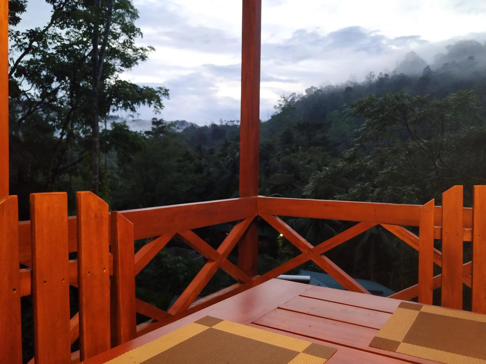 Sinharaja Forest Gate دينيايا المظهر الخارجي الصورة