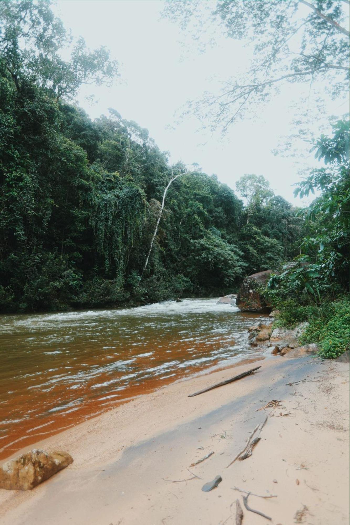 Sinharaja Forest Gate دينيايا المظهر الخارجي الصورة
