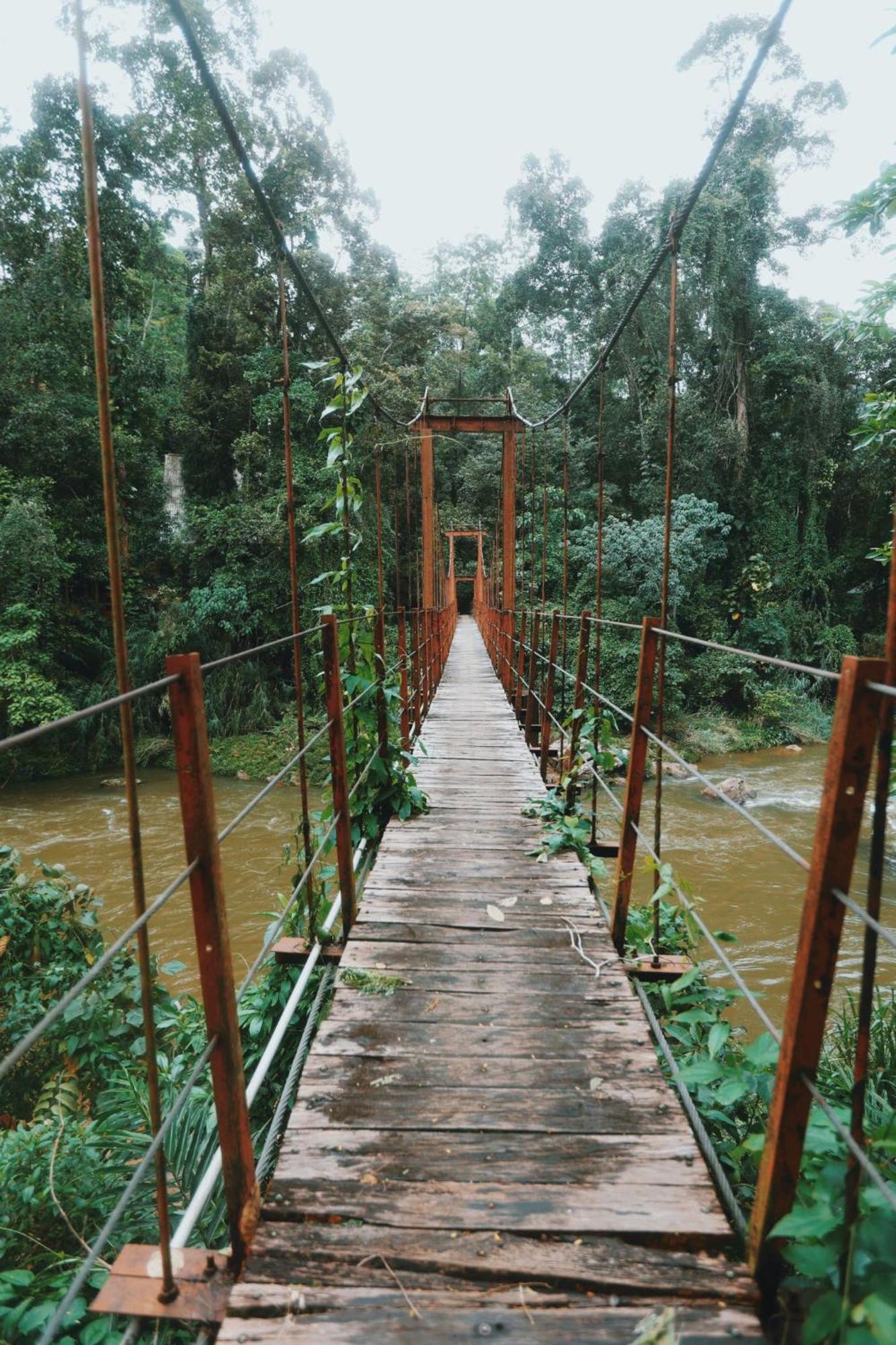 Sinharaja Forest Gate دينيايا المظهر الخارجي الصورة