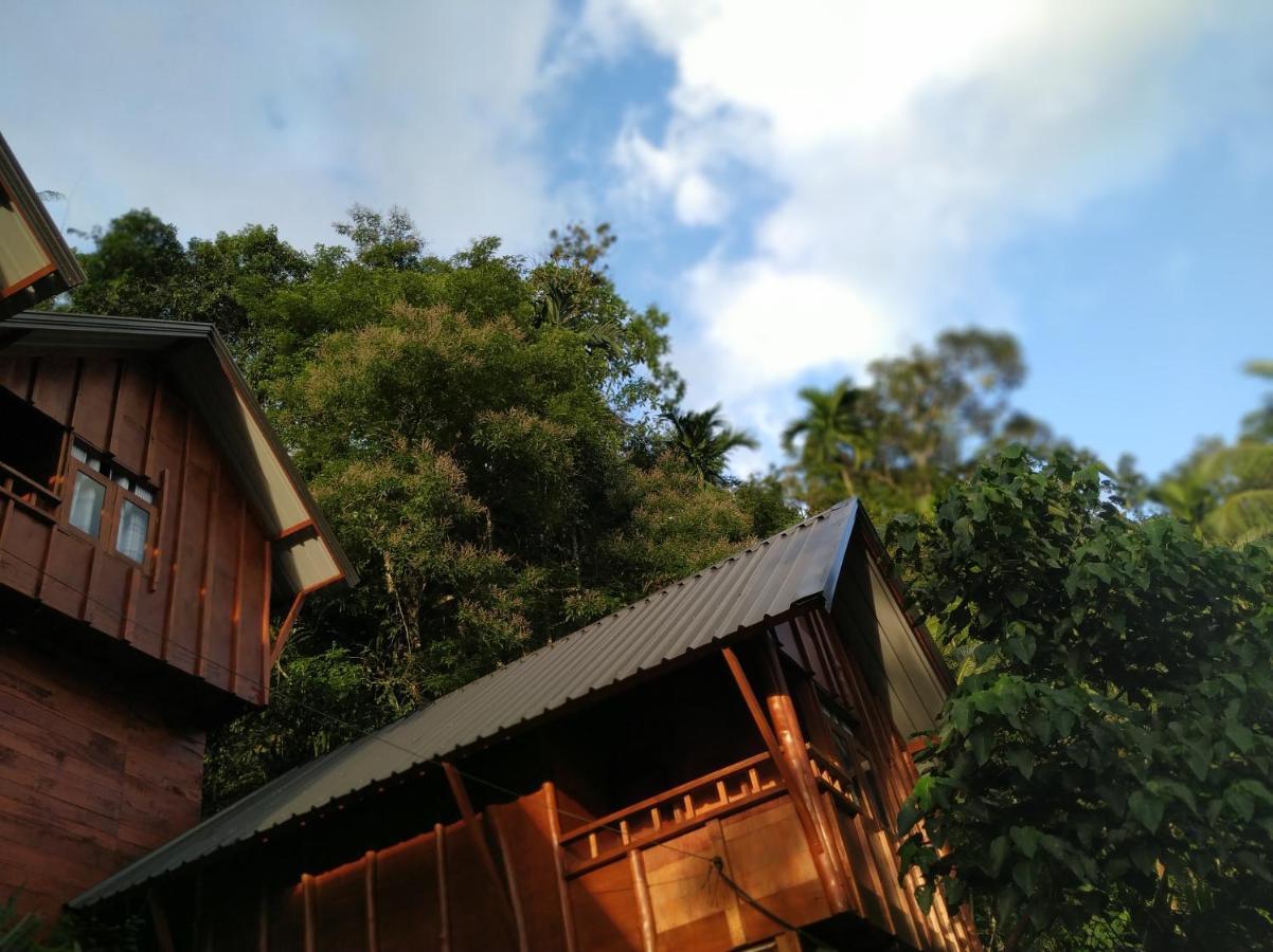 Sinharaja Forest Gate دينيايا المظهر الخارجي الصورة