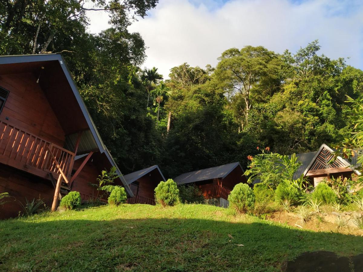 Sinharaja Forest Gate دينيايا المظهر الخارجي الصورة